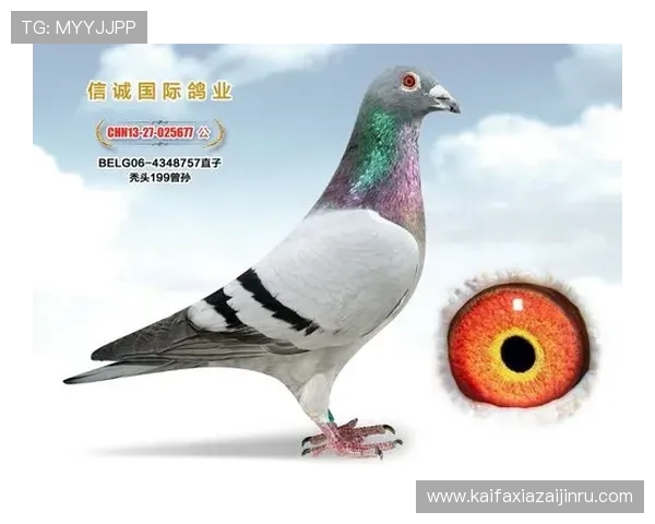 AG国际让你领略国际博彩行业的多元化与稳定性保障 AG国际让你领略国际博彩行业的多元化与稳定性保障