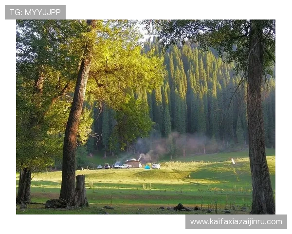 AG黄金城网精彩纷呈的娱乐体验尽在这里,带你领略最专业的在线博彩平台 AG黄金城网精彩纷呈的娱乐体验尽在这里,带你领略最专业的在线博彩平台